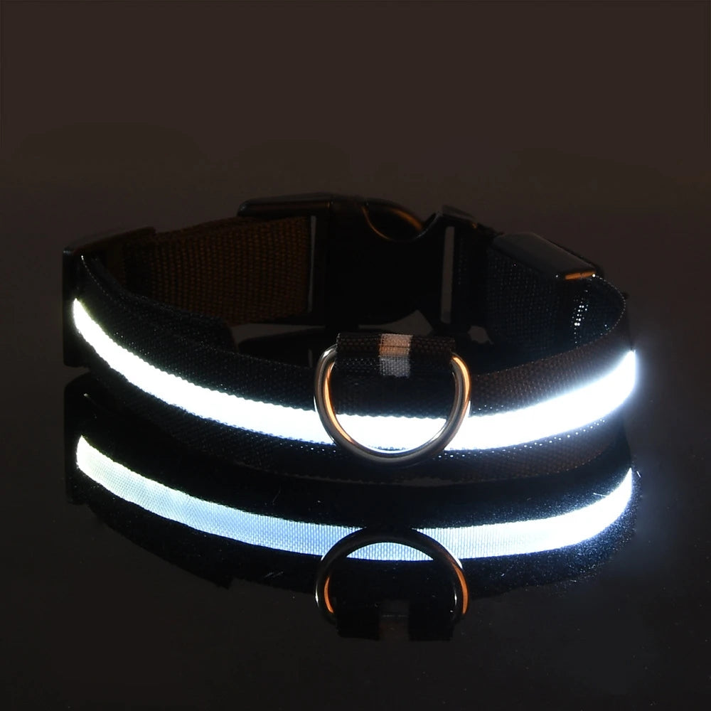 LED Night Safety Dog Collar – Nylon Glow-in-the-Dark Collar for Dogs