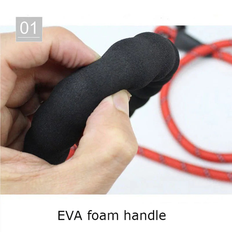 Echo Echelon™ 1.5 m Reflective Dog Leash – Padded Comfort Handle for Safe Walks