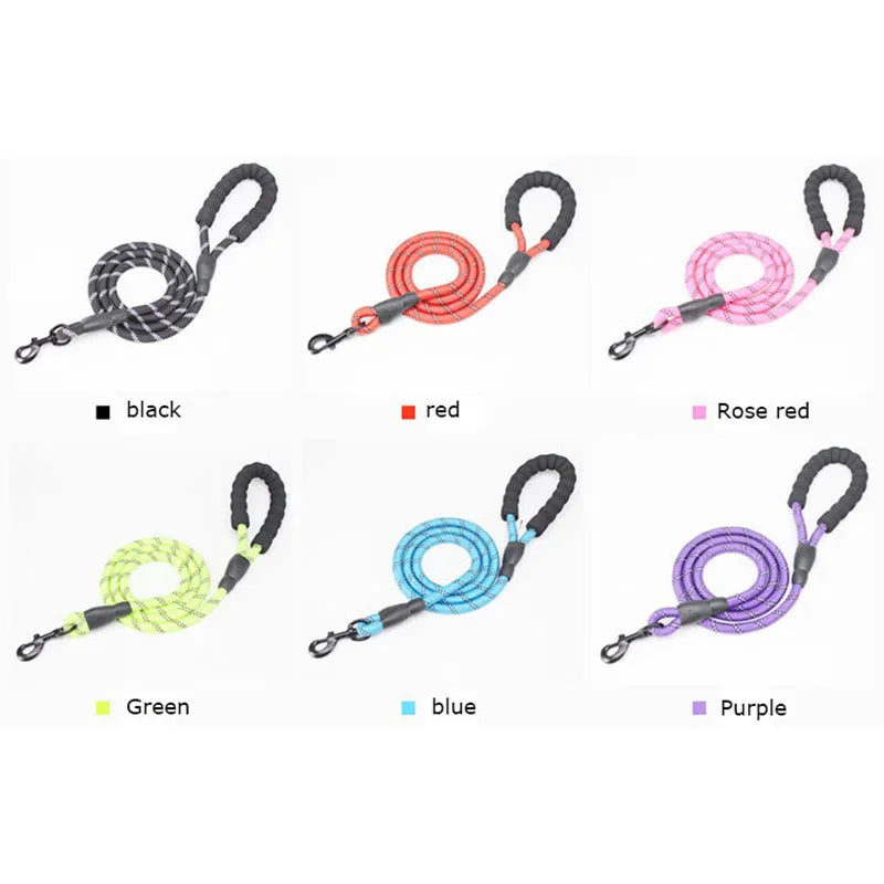Echo Echelon™ 1.5 m Reflective Dog Leash – Padded Comfort Handle for Safe Walks