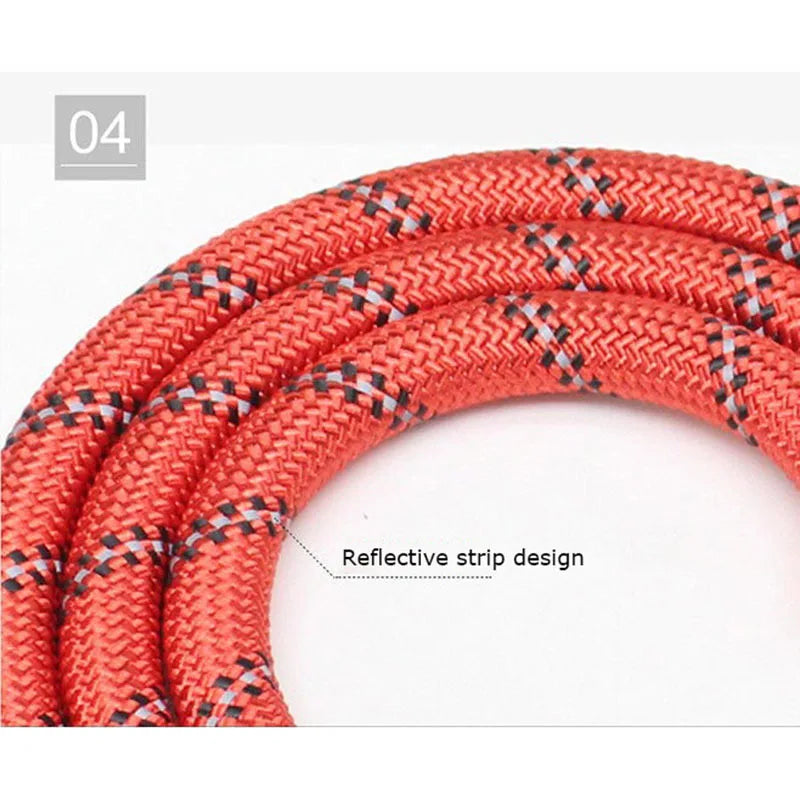 Echo Echelon™ 1.5 m Reflective Dog Leash – Padded Comfort Handle for Safe Walks