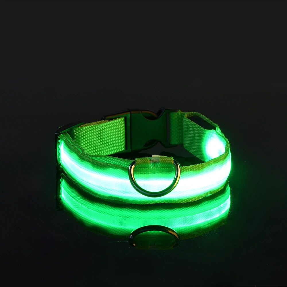 LED Night Safety Dog Collar – Nylon Glow-in-the-Dark Collar for Dogs