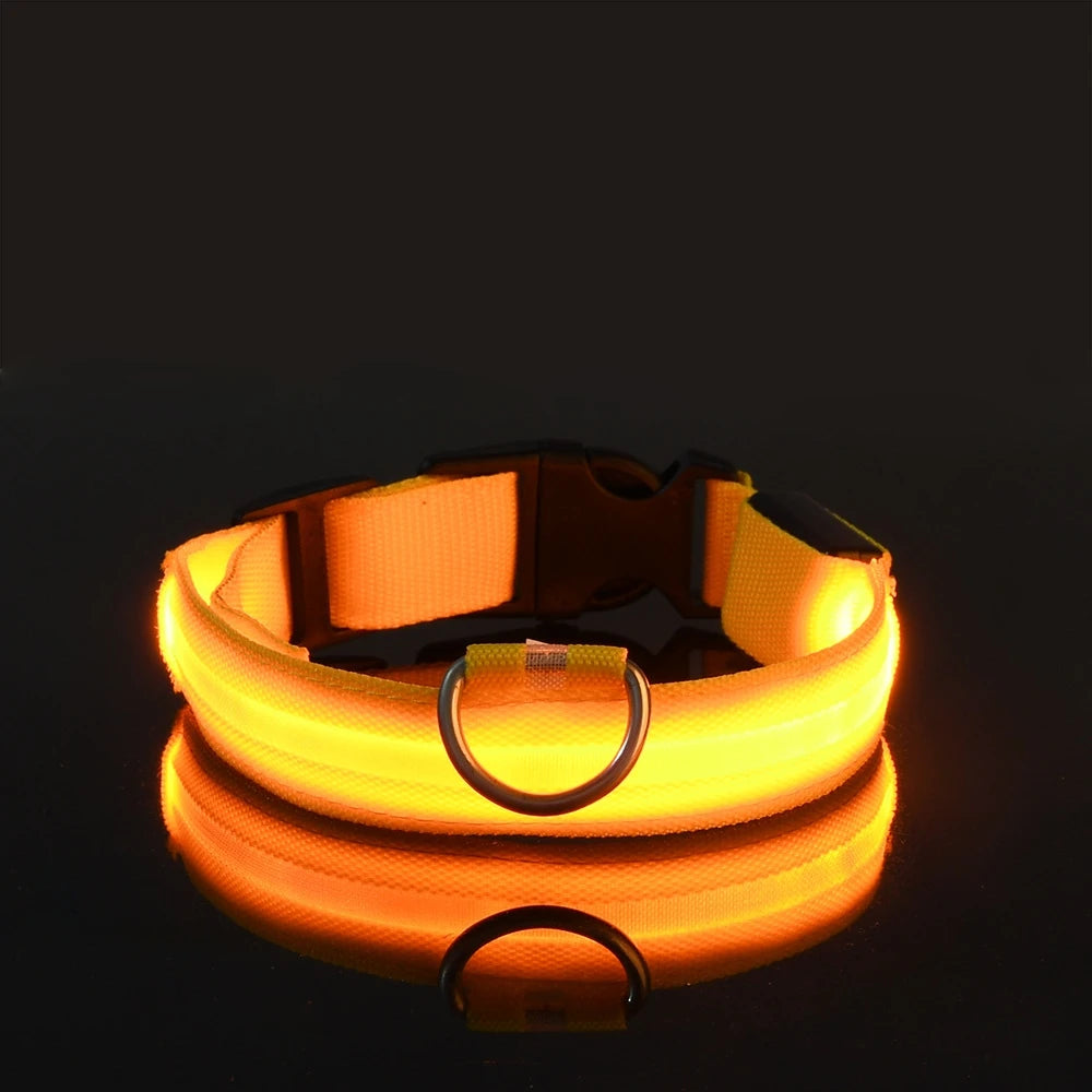 LED Night Safety Dog Collar – Nylon Glow-in-the-Dark Collar for Dogs