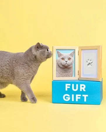 Clean-Touch Paw & Nose Print Keepsake Kit (Inkless • Pet-Safe)