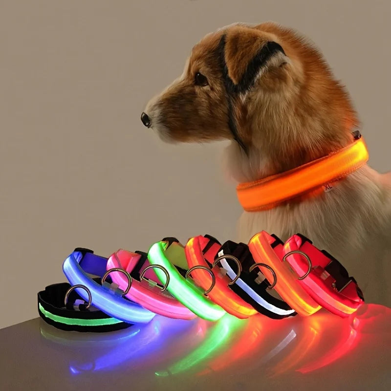 LED Night Safety Dog Collar – Nylon Glow-in-the-Dark Collar for Dogs