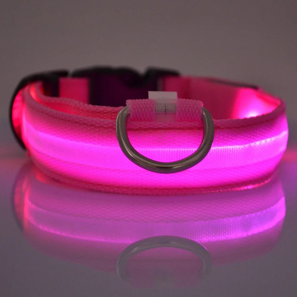 LED Night Safety Dog Collar – Nylon Glow-in-the-Dark Collar for Dogs