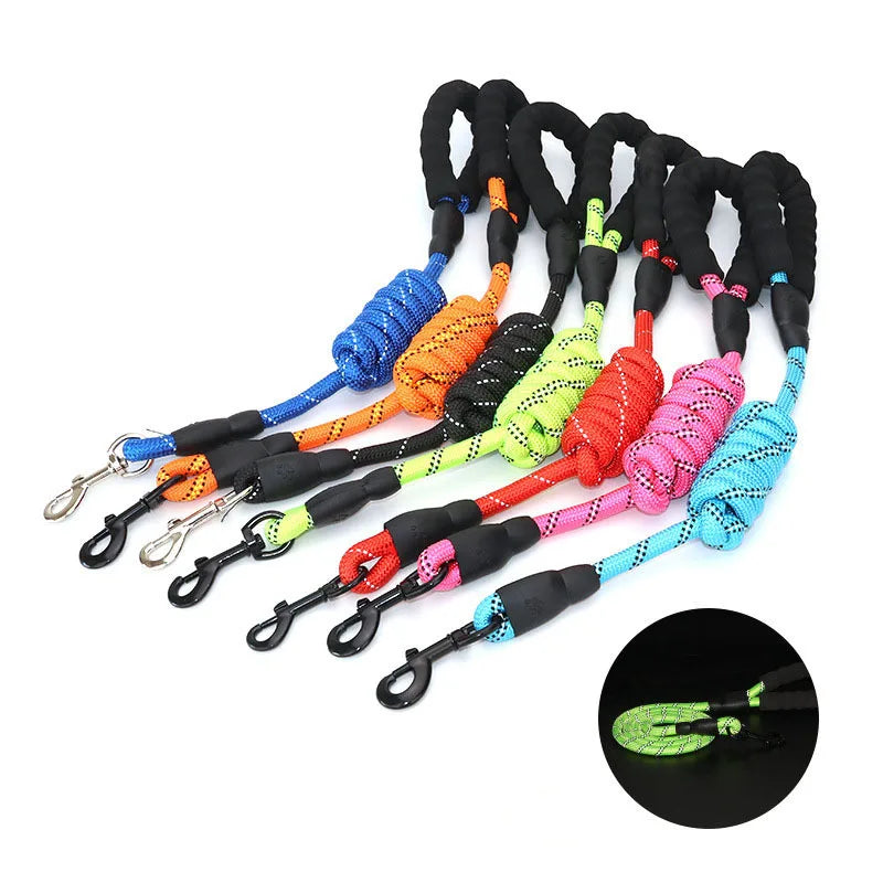 Echo Echelon™ 1.5 m Reflective Dog Leash – Padded Comfort Handle for Safe Walks
