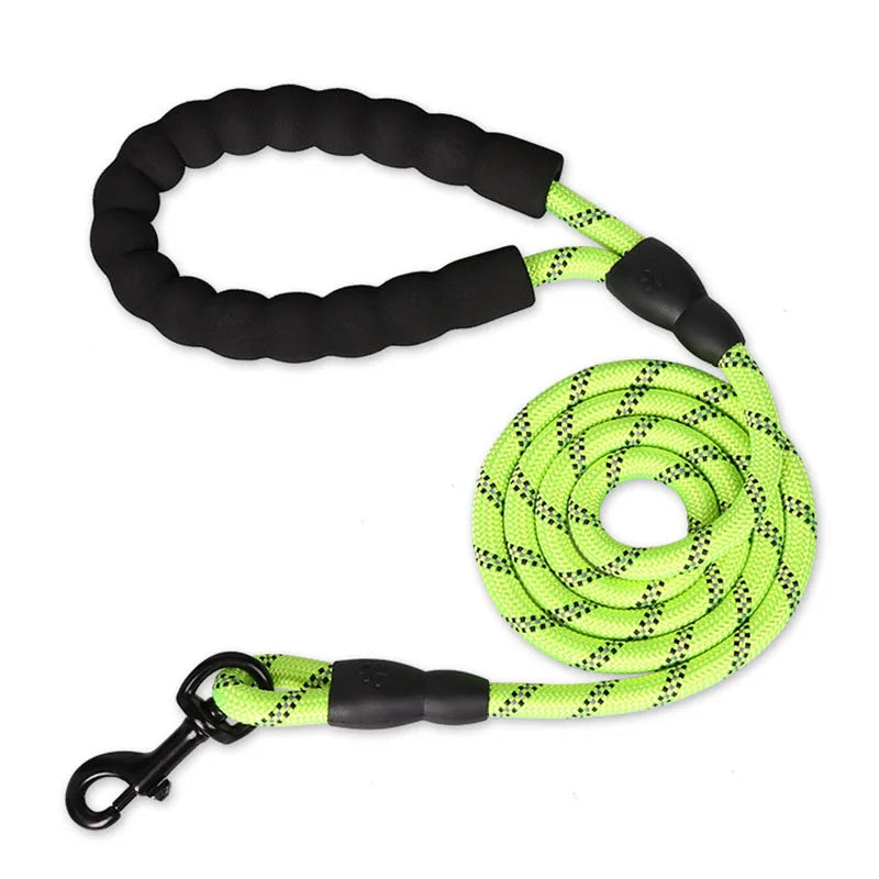 Echo Echelon™ 1.5 m Reflective Dog Leash – Padded Comfort Handle for Safe Walks