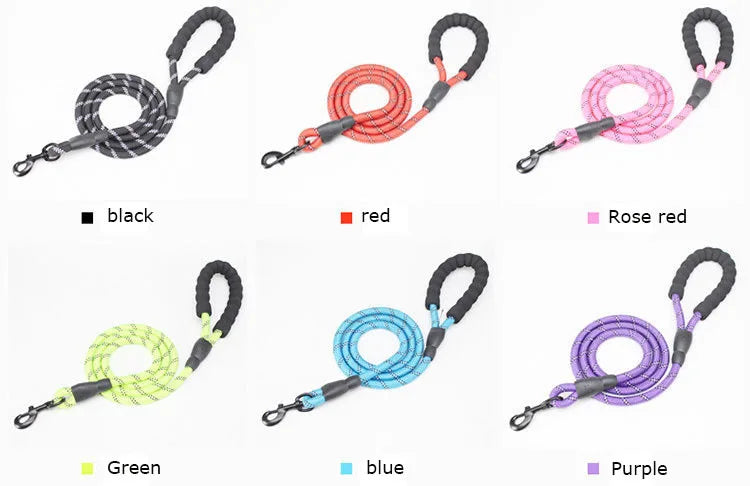 Echo Echelon™ 1.5 m Reflective Dog Leash – Padded Comfort Handle for Safe Walks