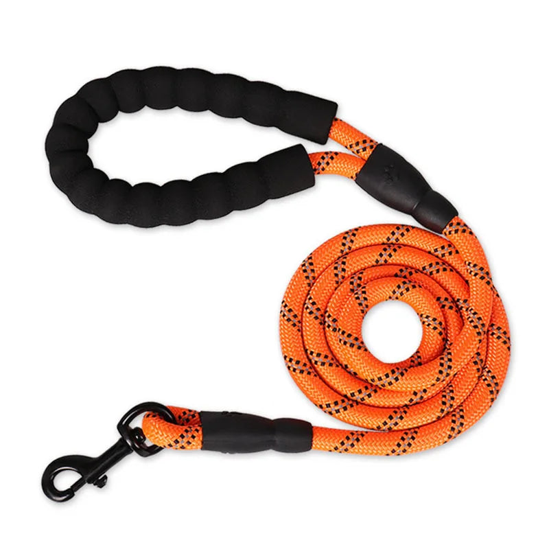 Echo Echelon™ 1.5 m Reflective Dog Leash – Padded Comfort Handle for Safe Walks